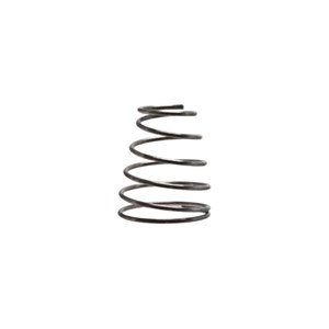 23009, Giant Pumps  Spring for Injectors