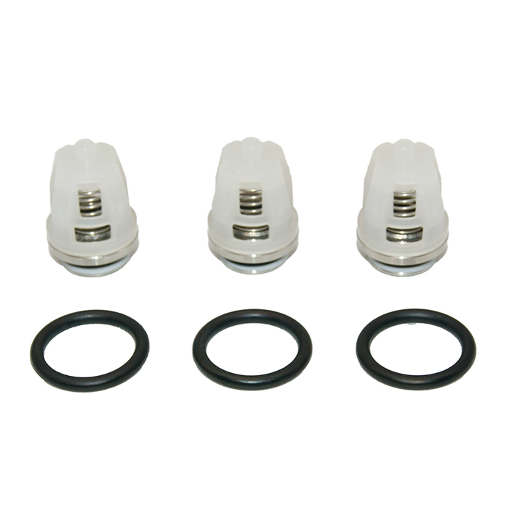 30820, CAT Pumps Valve Kit