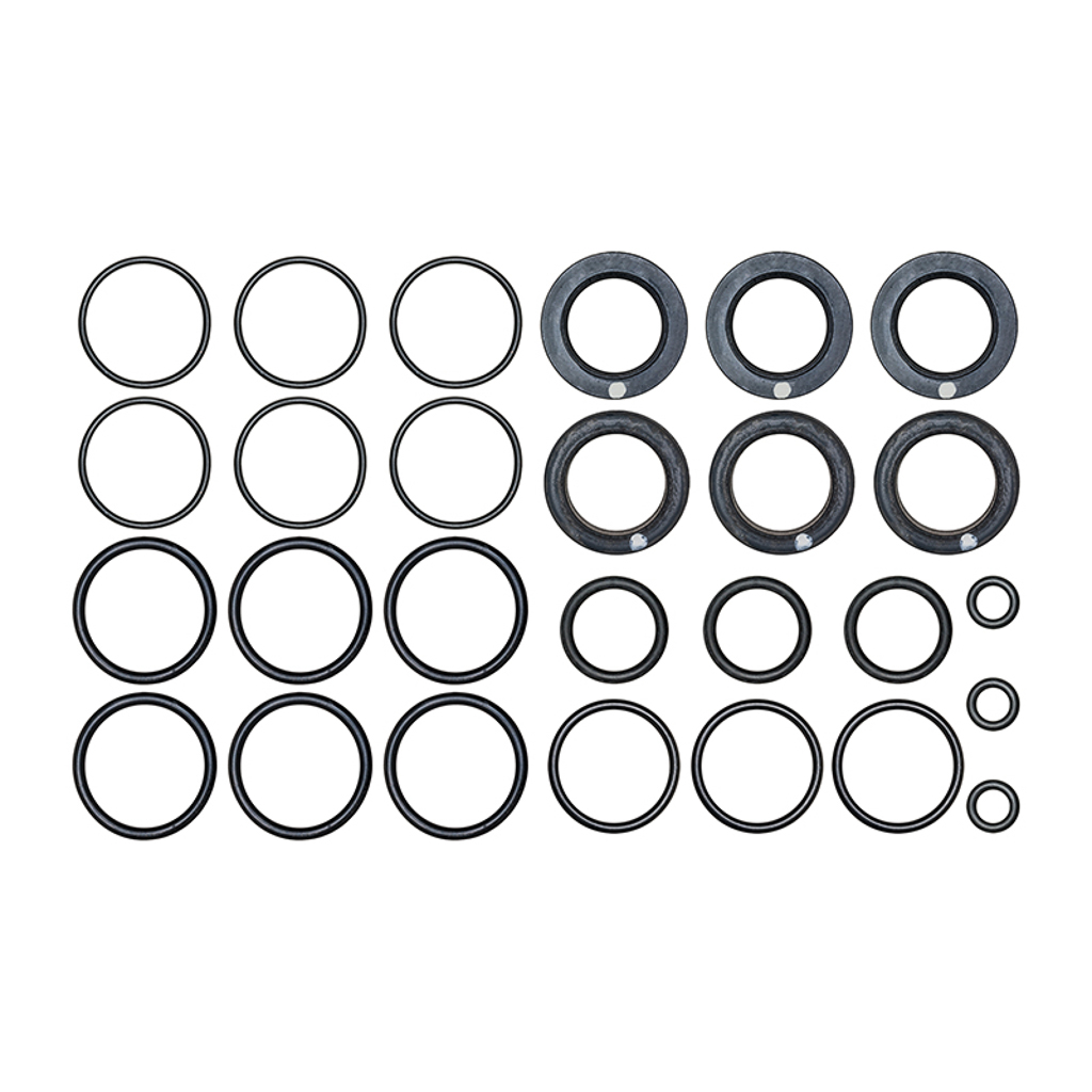 30983, Cat Pumps Seal Kit for Models 231-277