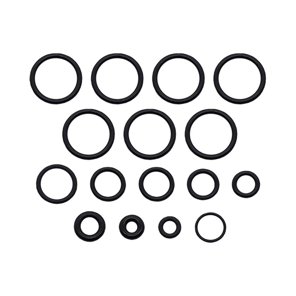 317789GS, O-Ring Kit, Briggs and Stratton