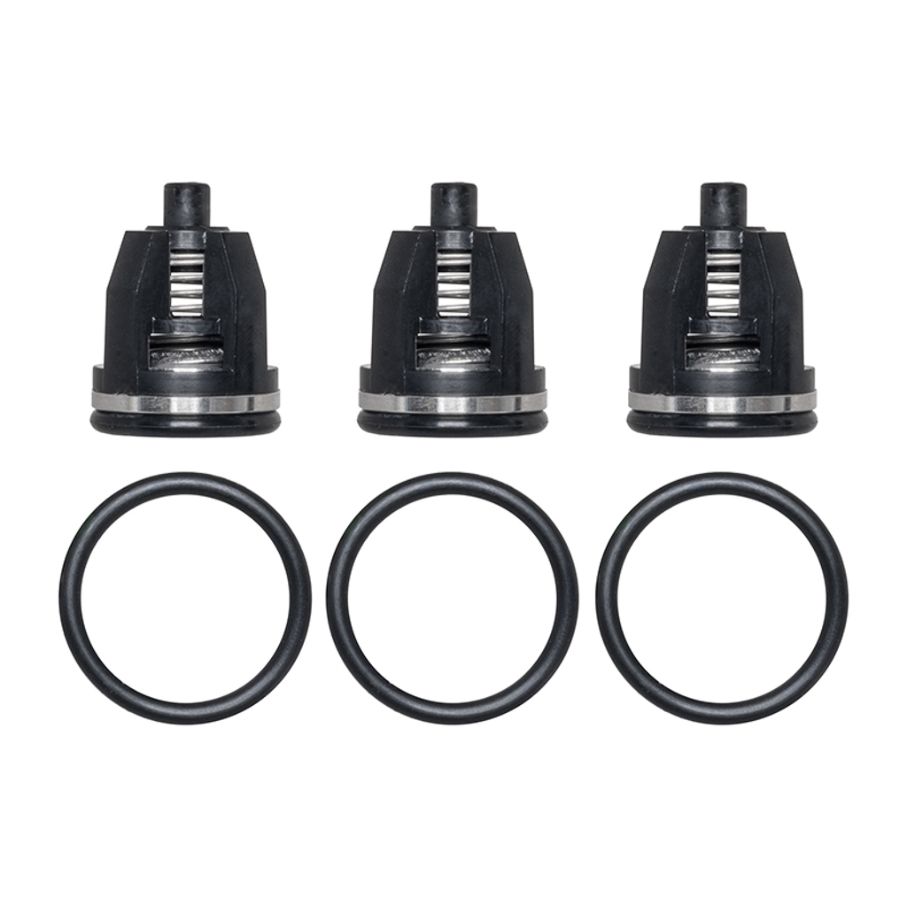 34060, Cat Pumps Valve Kit