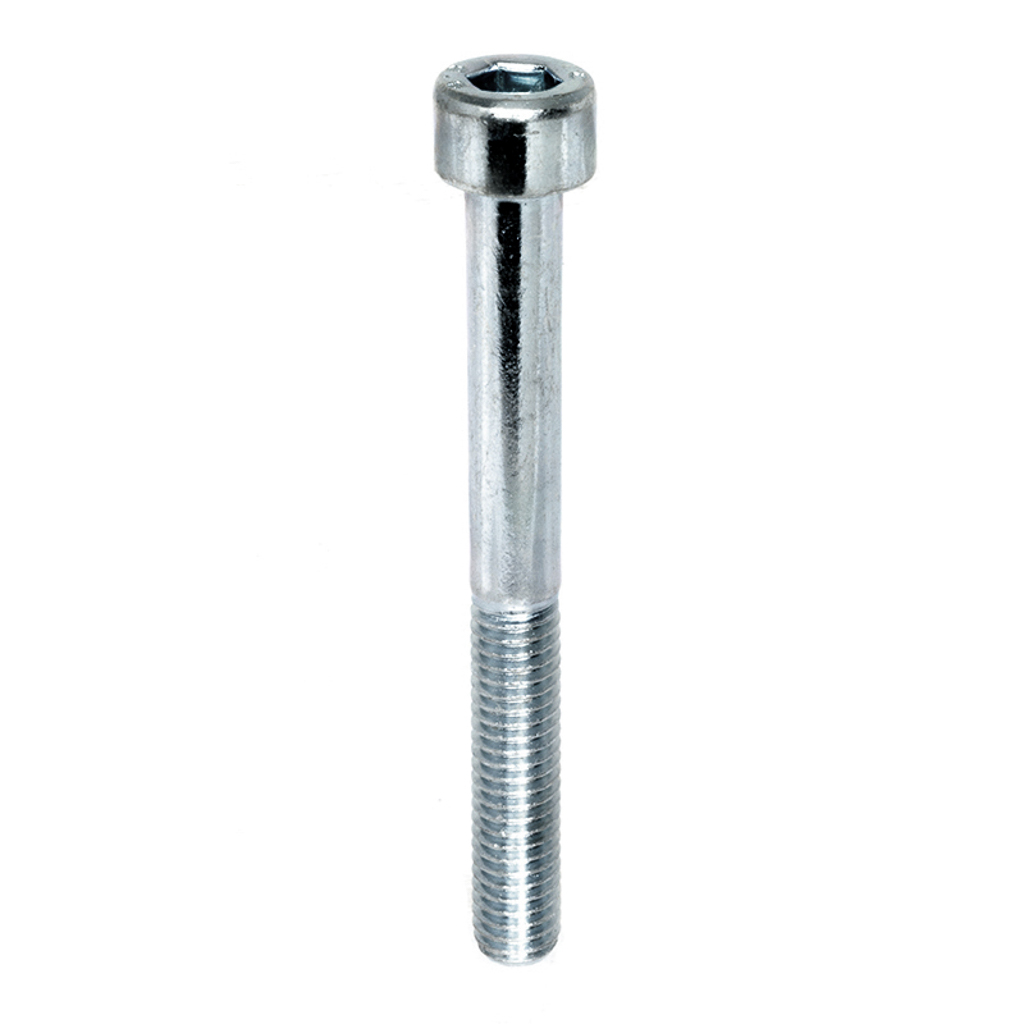 3609.0108.00, Comet Pumps M6X55 Screw