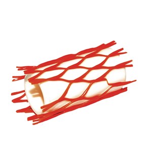 50040409, PISTON