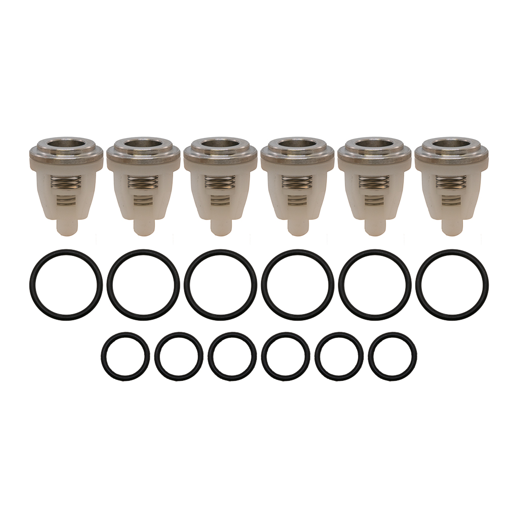 5025004900, VALVE KIT