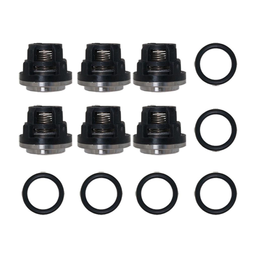 70-0502, Check Valve Kit for MiTM 3WZ Pump