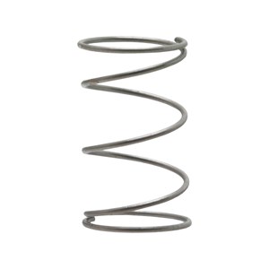 7106698, CHECK VALVE, SPRING