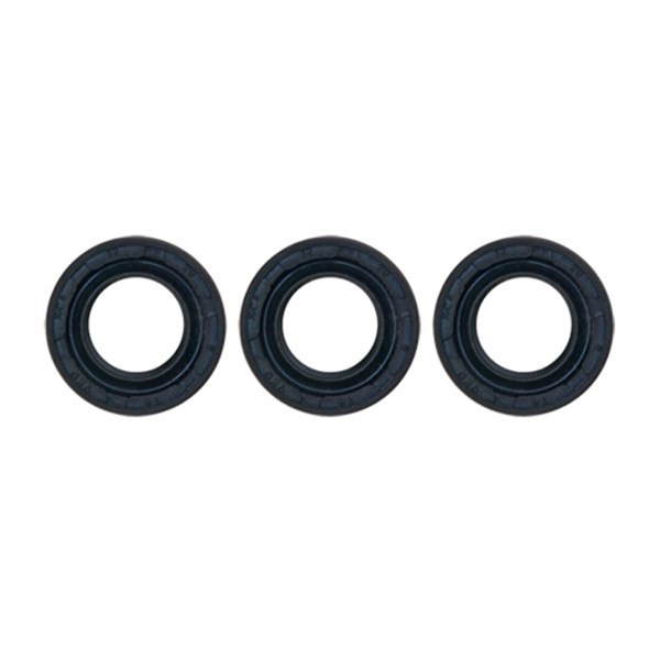 7110124, AAA Pressure Washer Oil Seal Kit