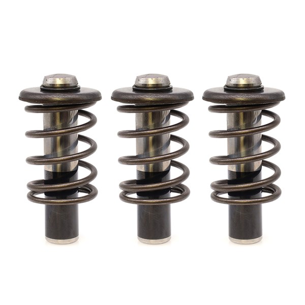 7112363, PISTON KIT