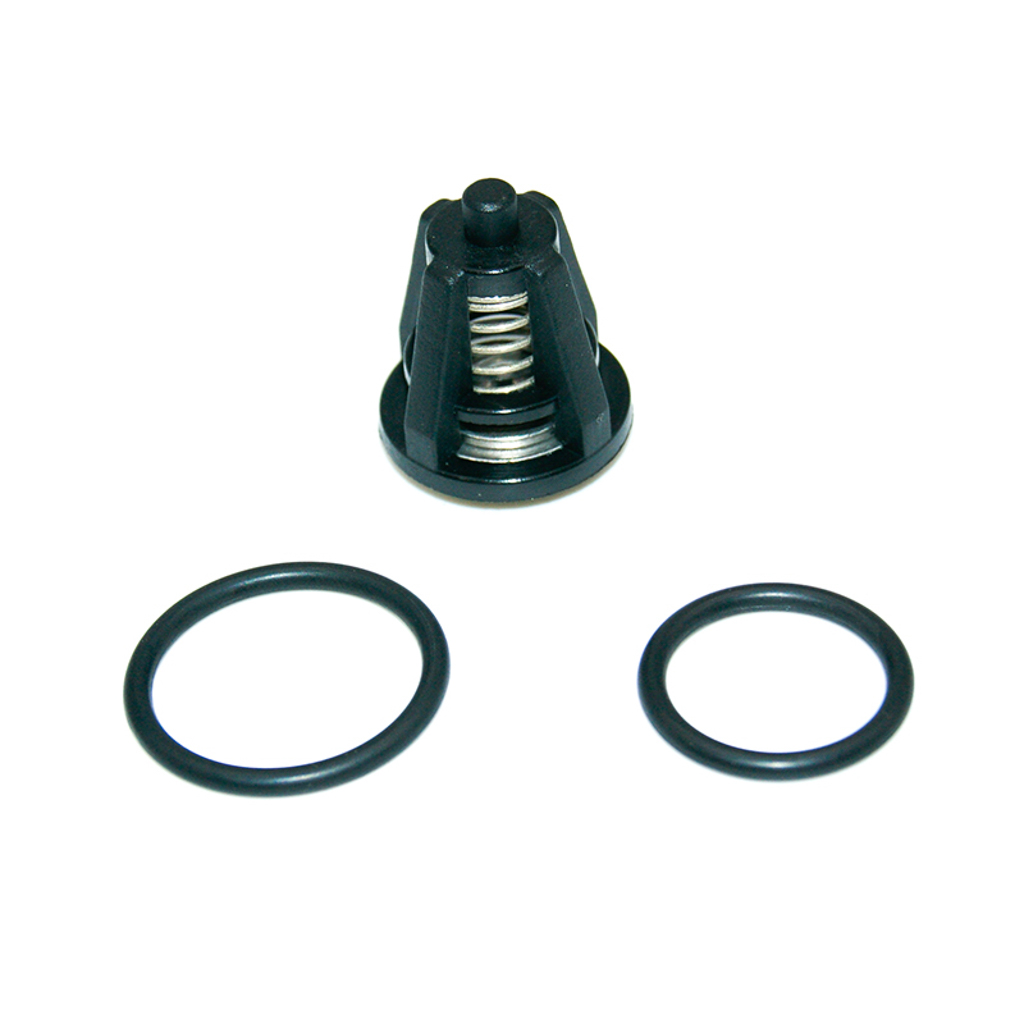 8.717-584.0, VALVE KIT