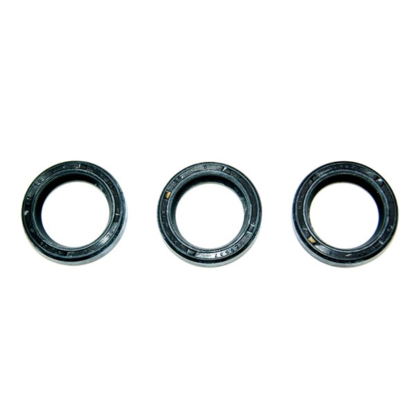 A08928, Coleman Powermate Oil Seal Kit