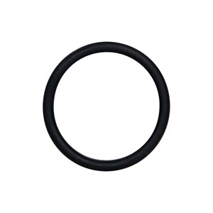 AR1200690, 15.6 X 1.78mm AR Pump O-Ring