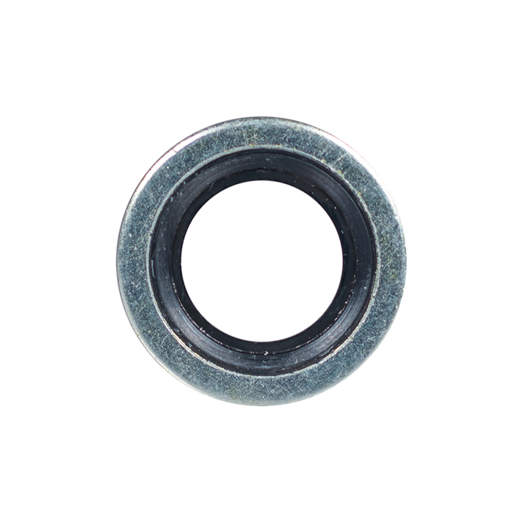 AR1560280, Washer W/ Seal Ring for AR Pumps