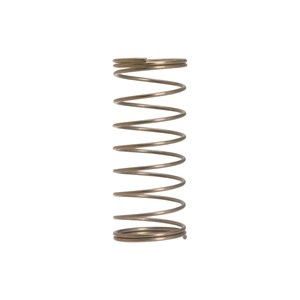 AR1343580, Shutter Valve Spring - ARNA