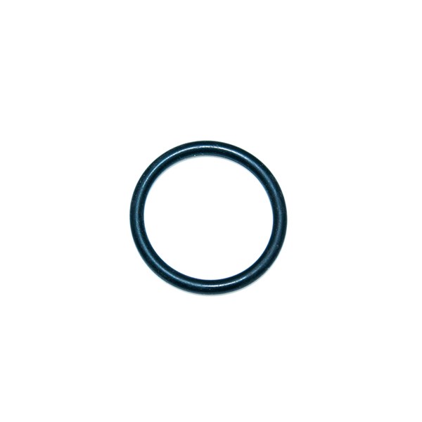 AR720030, O-Ring for AR Pumps 22.22x2.62