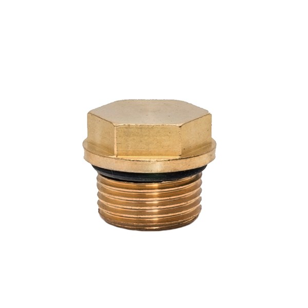 AR1989600, Annovi Reverberi -  Plug, With O-Ring
