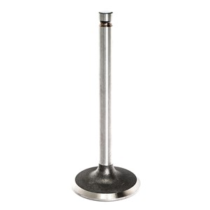 G086517, - Generac Intake Valve