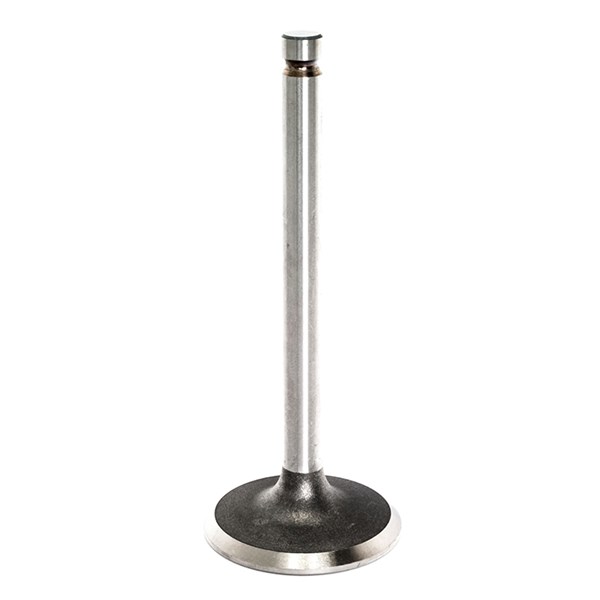 G086517, - Generac Intake Valve