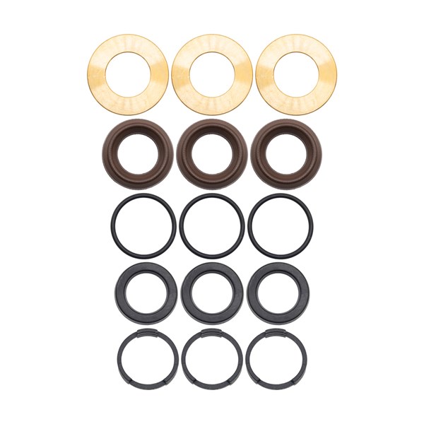 PM247840SV, KIT, SEAL, OLD STYLE SJV