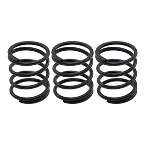 W8.282.194, PISTON SPRING