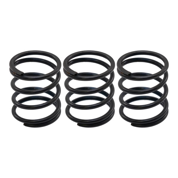 W8.282.194, PISTON SPRING