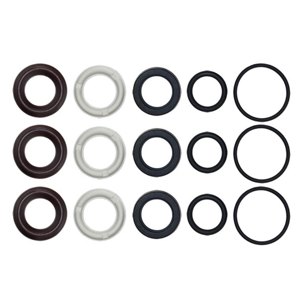 198845GS, Water Seal Kit, Briggs & Stratton