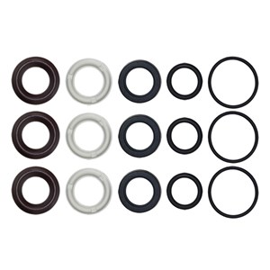 198845GS, Water Seal Kit, Briggs & Stratton