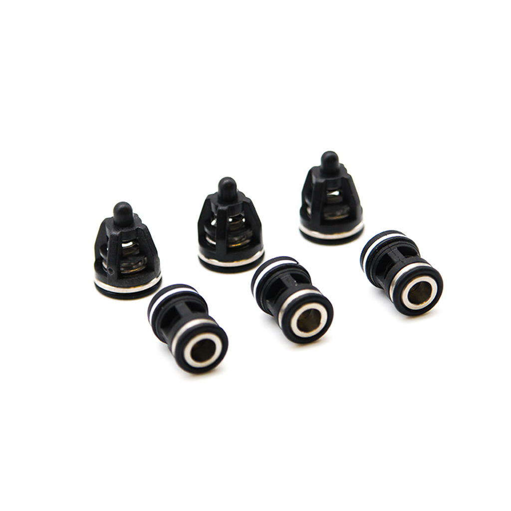 1002.2245, CHECK VALVE KIT - EW SERIES