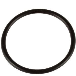 198845GS, Water Seal Kit, Briggs & Stratton
