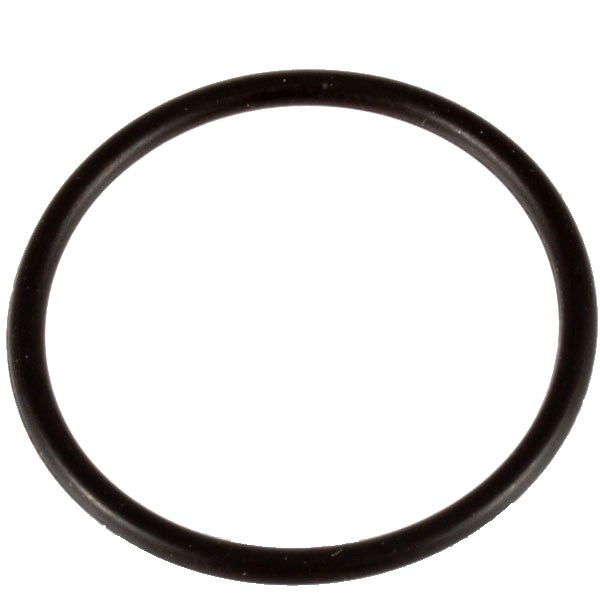 198845GS, Water Seal Kit, Briggs & Stratton