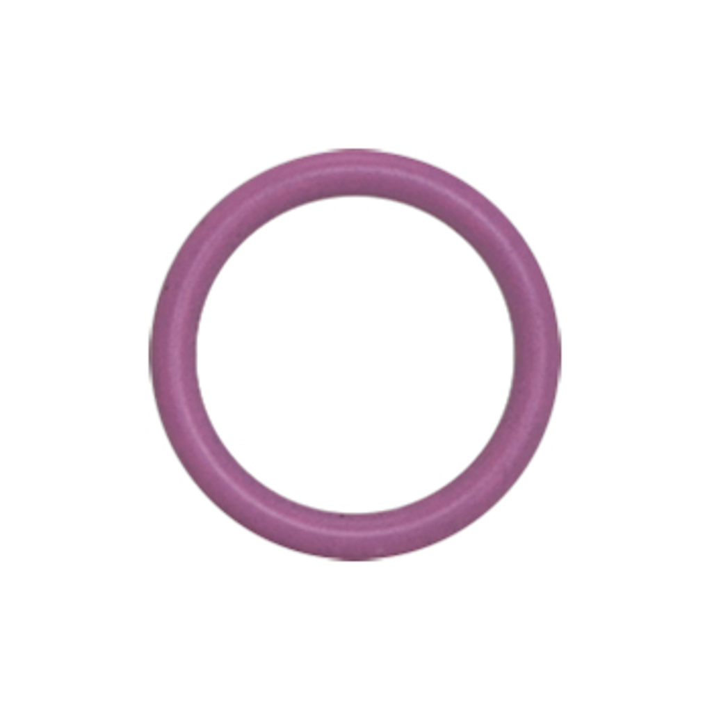 1001.3172, O-RING VLV CHK