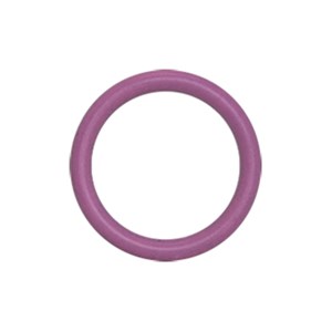 1001.3172, O-RING VLV CHK