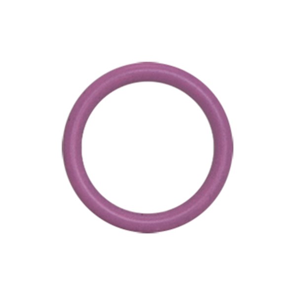 1001.3172, O-RING VLV CHK