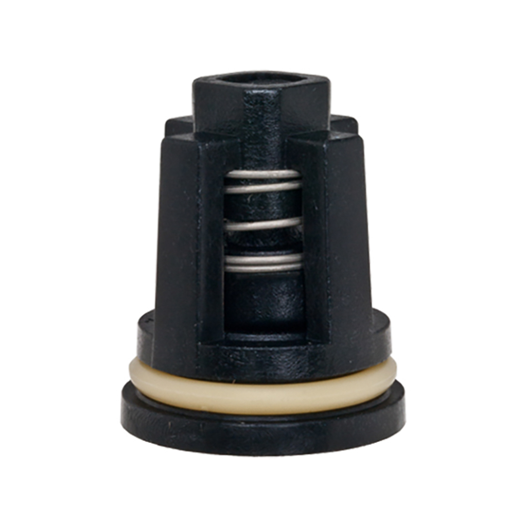 1001.3174, ASSY VLV CHK INLET