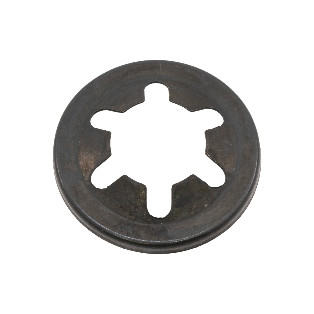 06289, SPRING DISC, GX PUMP