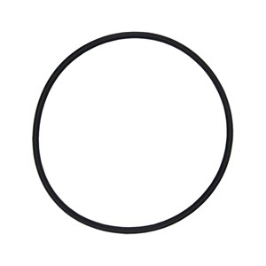 07910, Giant Pumps O-Ring for Suction Flange