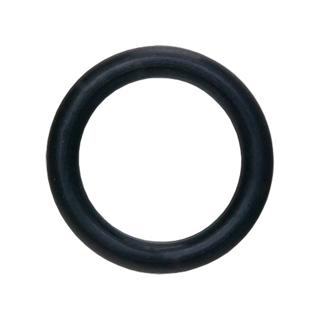 1000.4179, O-RING,IVS,80D