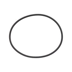 1000.3064, O-RING, P200 SIGHT GLASS