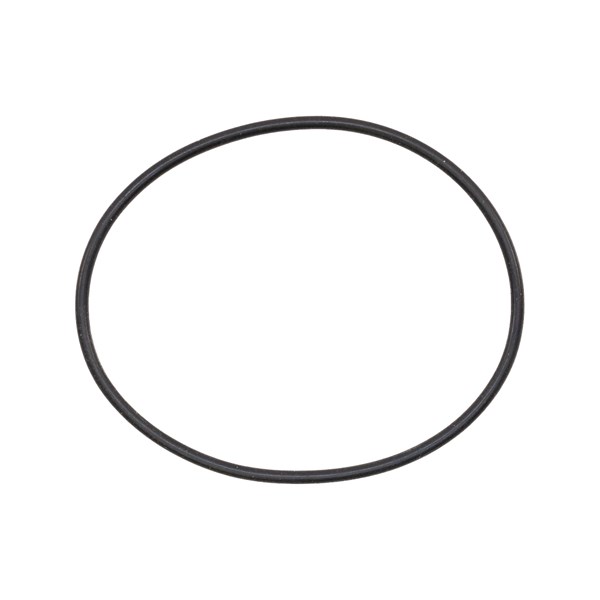 1000.3064, O-RING, P200 SIGHT GLASS