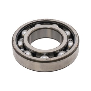 146421, Cat Pumps Steel Ball Bearing