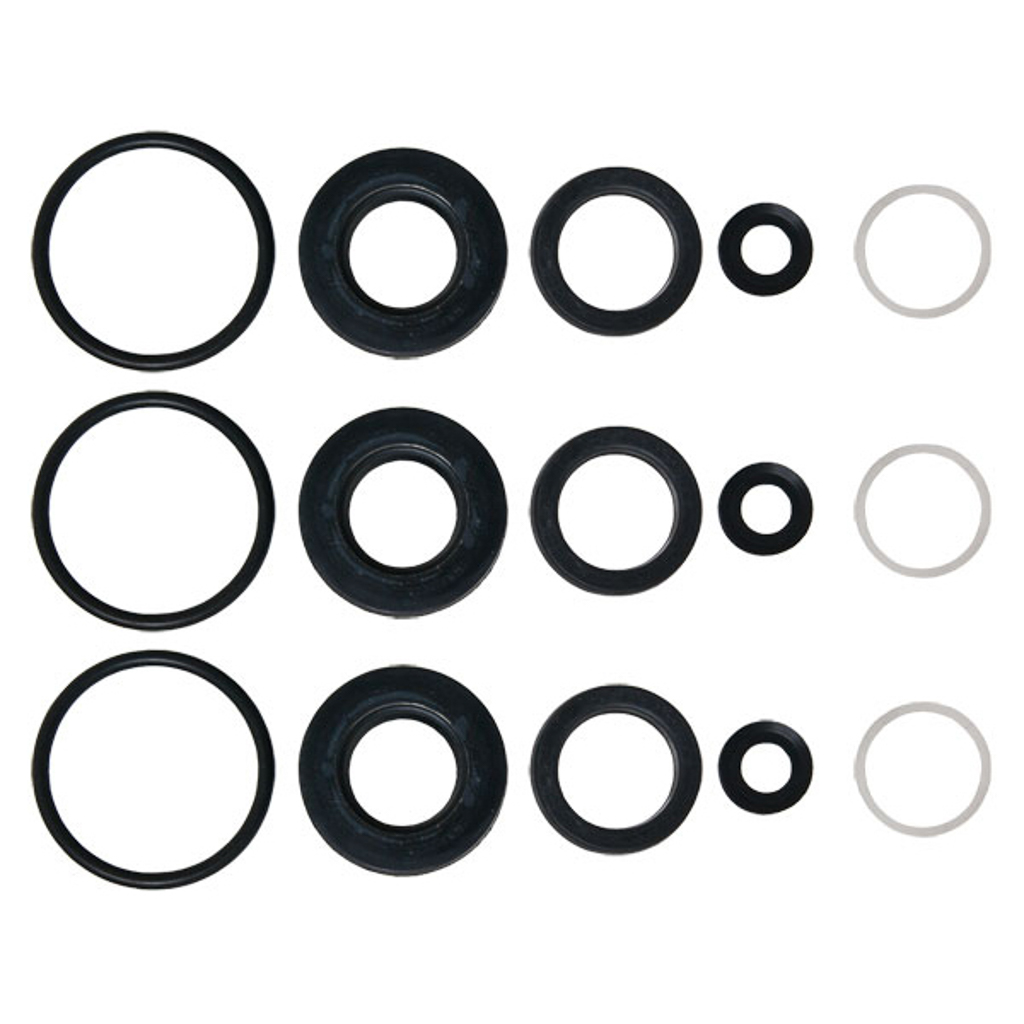31684, Cat Pumps  Seal Kit