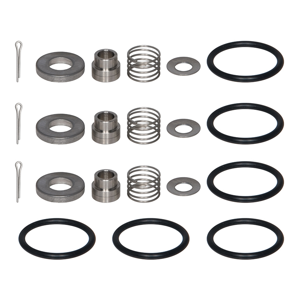 34668, Cat Pumps Inlet Valve Kit