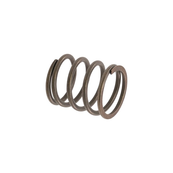 06288, Giant Pumps  GX Series Plunger Spring