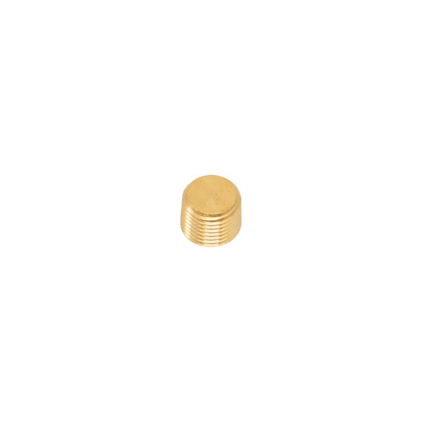 1000.6335, PLUG, PIPE, 1/8 SOCKET