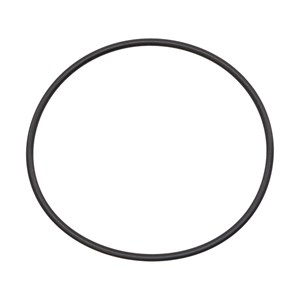 1000.6008, O-RING
