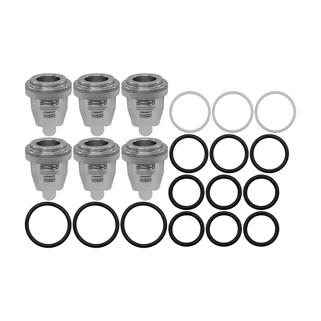 1000.7735, CHECK VALVE KIT