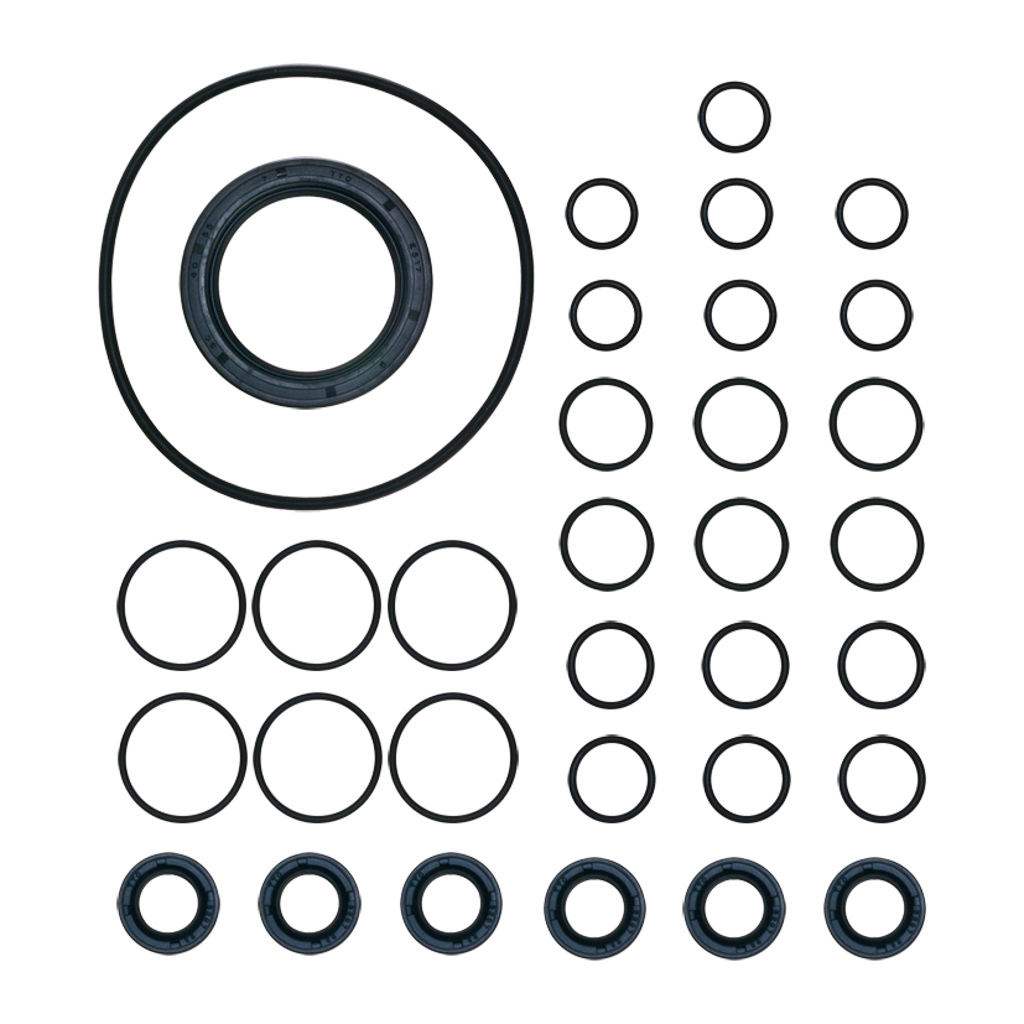 10001-01118-R, OIL SEAL KIT, AXD