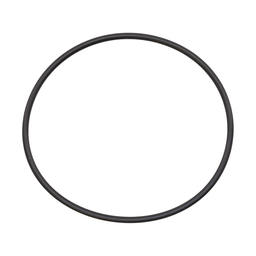 1210.0561.00, O-Ring for Comet Pumps