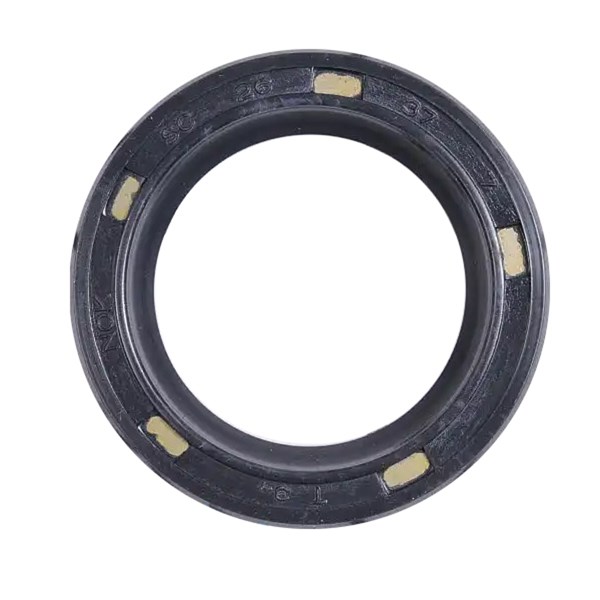 1000.8284, ROTARY SHAFT SEAL