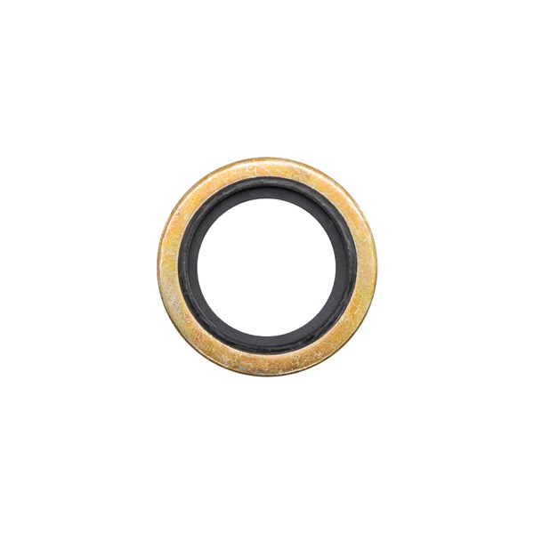 1000.9606, WASHER W/ SEAL RING