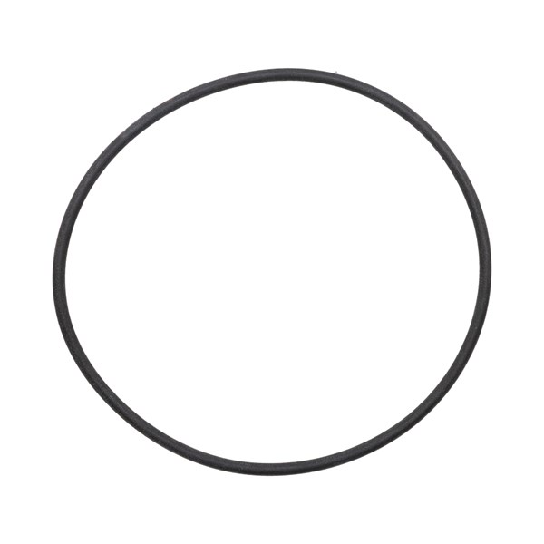 1000.9263, O-RING, HSNG SEAL